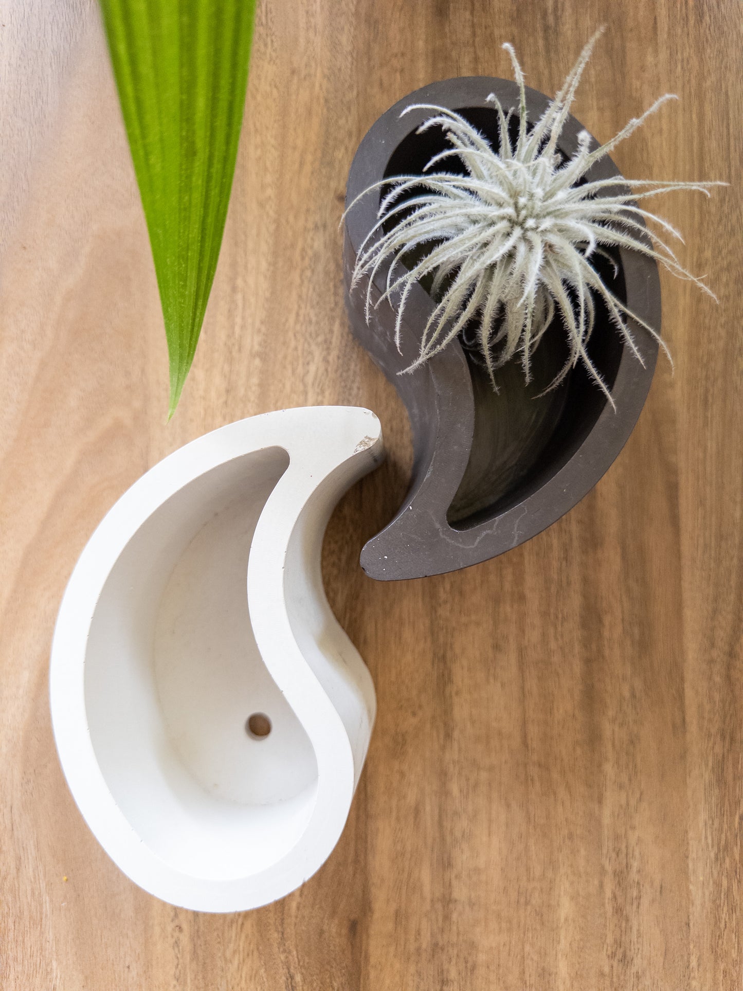 Concrete - Yin Yang Planter Set