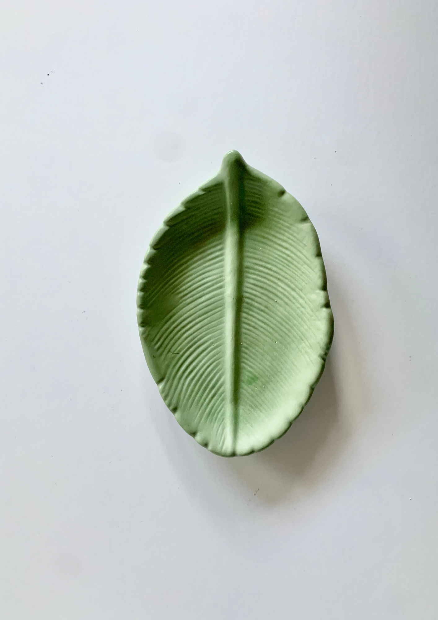 Concrete - Leaf Dish